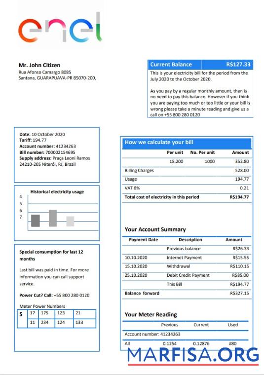 Blank Brazil ENEL electricity utility bill template in Word and PDF format